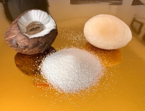 Ivory palm seed exfoliating scrub